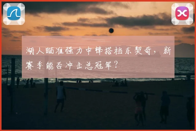 湖人瞄准强力中锋搭档东契奇,新赛季能否冲击总冠军?